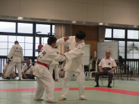 IMG_4012