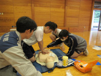 IMG_8801
