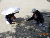 DSCN7384