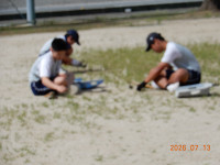 DSCN7386
