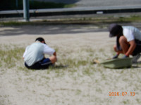 DSCN7387