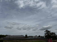 IMG_8141