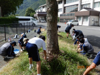 DSCN6415