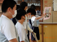DSCN6496