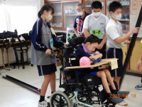 DSCN6530